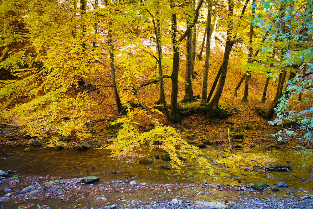 Valsan Valley